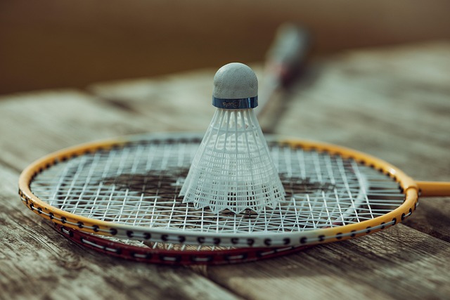 Test: De bedste badmintonketchere til prisen i 2024